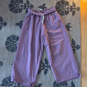 Urban Outfitters Lavender Relaxed Pants